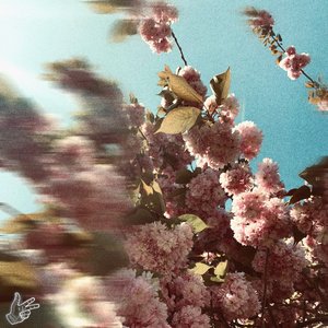 Image for 'calling out your love'