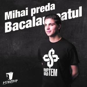 Image for 'Mihai preda'