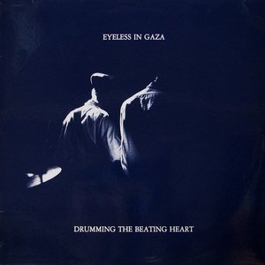 Immagine per 'drumming the beating heart'