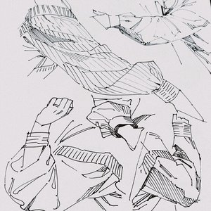 Immagine per 'Simple folds'