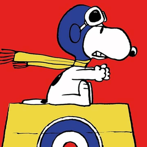 snoopy8080