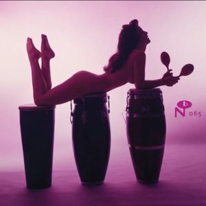 Bild für 'Technicolor Paradise - Rhum Rhapsodies & Other Exotic Delights'