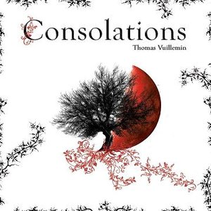 Image for 'Consolations'
