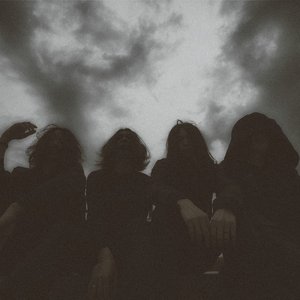 Image for 'THE NOVEMBERS'