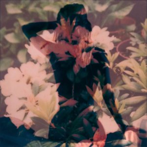 Image for 'Modern Vices'