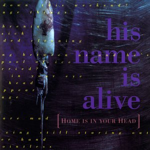 Image for 'Home Is in Your Head (2024 Remastered Edition)'