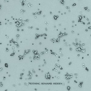 'Nothing Remains Hidden'の画像