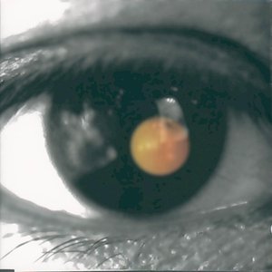 Image for '黑色柳丁'