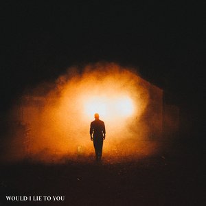 Image for 'Would I Lie To You'