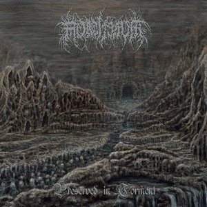 Image for 'Preserved In Torment'