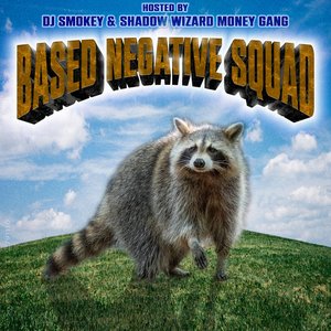 Image for 'based negative squad'