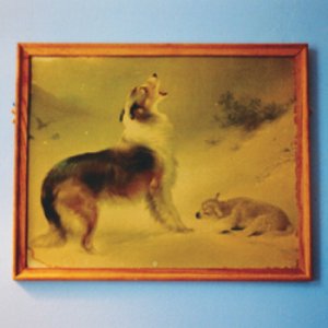 Bild für 'Travels In Constants 21'