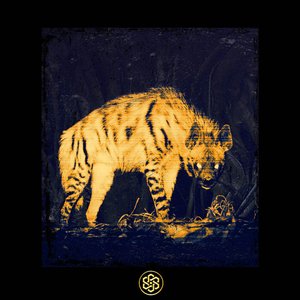 Image for 'Circling the Drain'