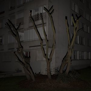 Image for 'V'