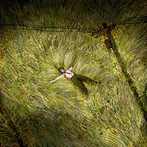 Image for 'EMERGENCE DELIRIUM'