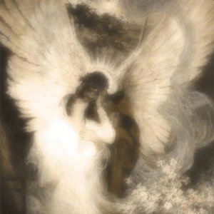 Image for 'random files'