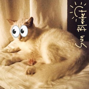 Image for 'Sun Blanket'