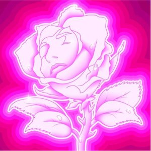 Zdjęcia dla 'Rose Fluo'