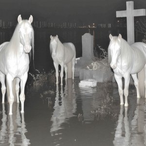 Image for 'Yearn'