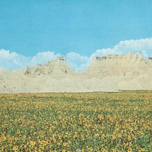 Image for 'Dreams of a Sunflower River'