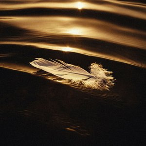 Image for 'Icarus & I'