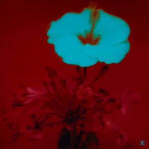 Zdjęcia dla 'Sunrise and the Life We Live'