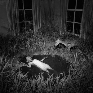 Image for '✞dirty ph△rm△ceutic△ls✞'