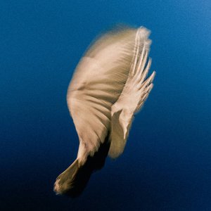 Image for 'Dear Friend'