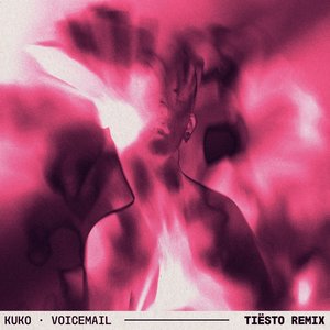 Zdjęcia dla 'Voicemail (Tiësto Remix)'