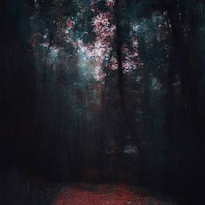 Image for 'Echoes Take Their Place'