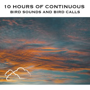 Image for '10 Hours of Continuous Bird Sounds and Bird Calls'