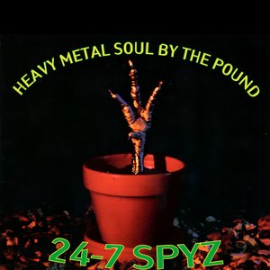 Image pour 'Heavy Metal Soul By The Pound'