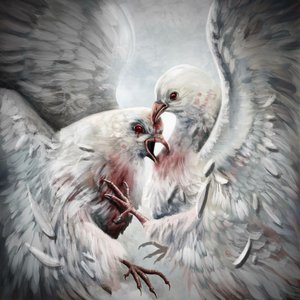 Image for 'Dvoe'