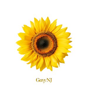 Image for 'The Gavy NJ : II'