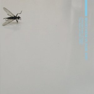 Image for 'Uncertain Days'