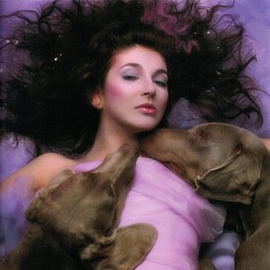 Immagine per 'Kate Bush'