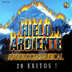Image pour 'Antologia Musical 20 Exitos!'
