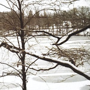 Image for 'Snowstorm'