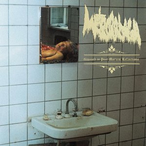 Image for 'Glassed in Post-Mortem Reflections'