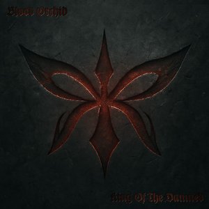 Image for 'King Of The Damned'