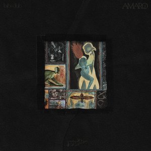 Image for 'Amaro'