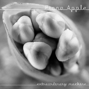 Image for 'Extraordinary Machine'
