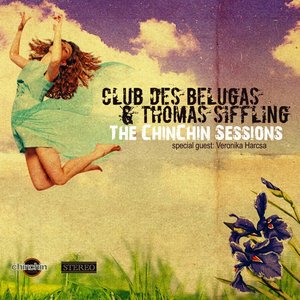 Image pour 'The ChinChin Sessions'