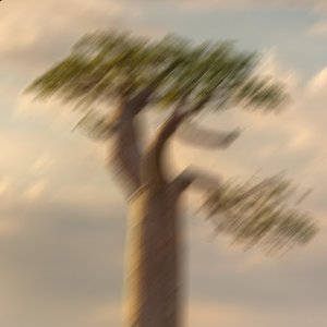 Image for 'NAMU!'