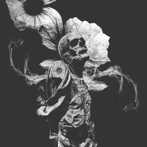 Image for 'Flowers of Faith / / Dregs of Black'