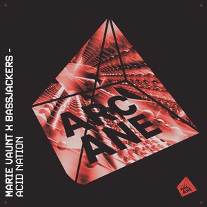 Immagine per 'Acid Nation'