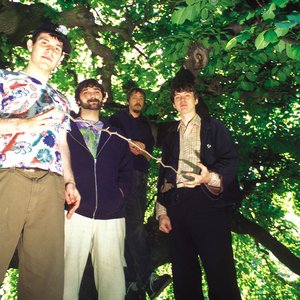 Image for 'Animal Collective'