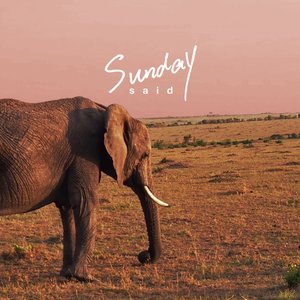 Image for 'Sunday'