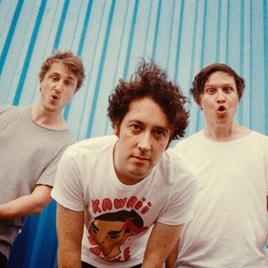 Image for 'The Wombats'