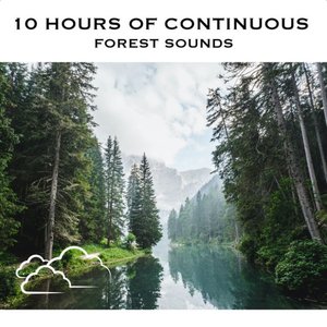 Immagine per '10 Hours of Continuous Forest Sounds'